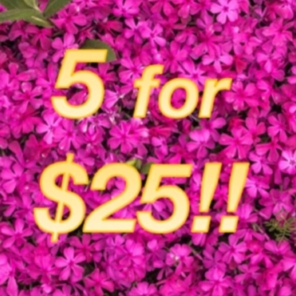 💖SEPHORA💖Mix+Match 5️⃣ for $25 Listings for $25! - Picture 4 of 4